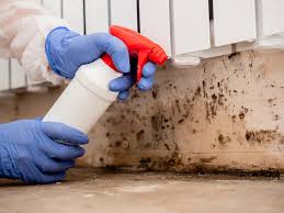 Best Mold Prevention Services in Red Corral, CA